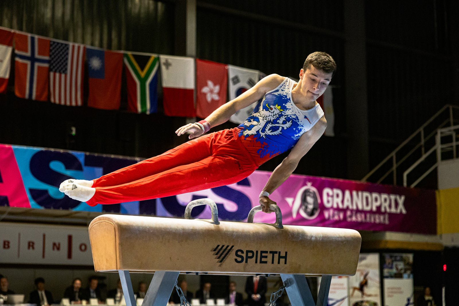 Gymnasta na koni s madly