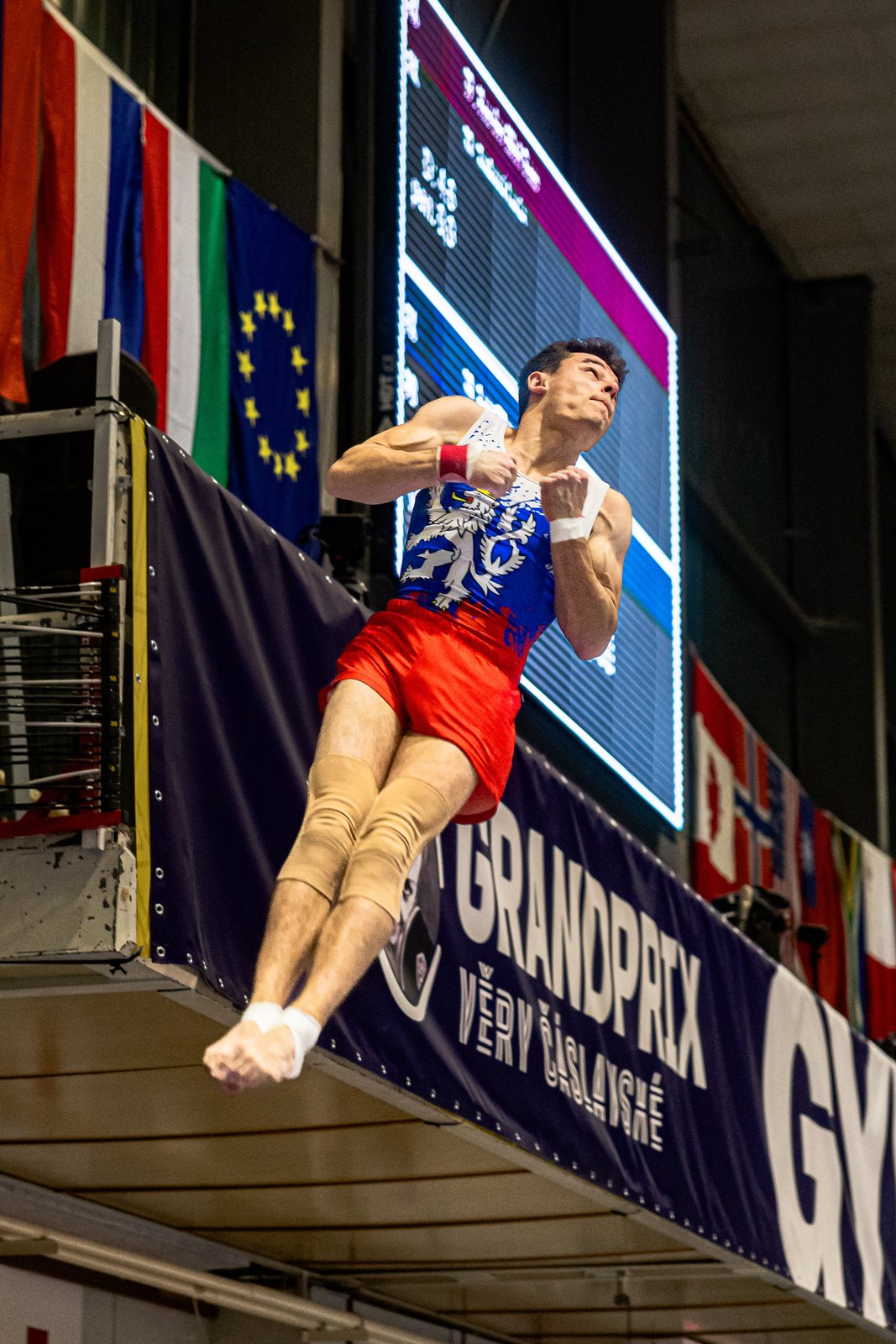 Gymnasta na kruzích s vlajkami v pozadí
